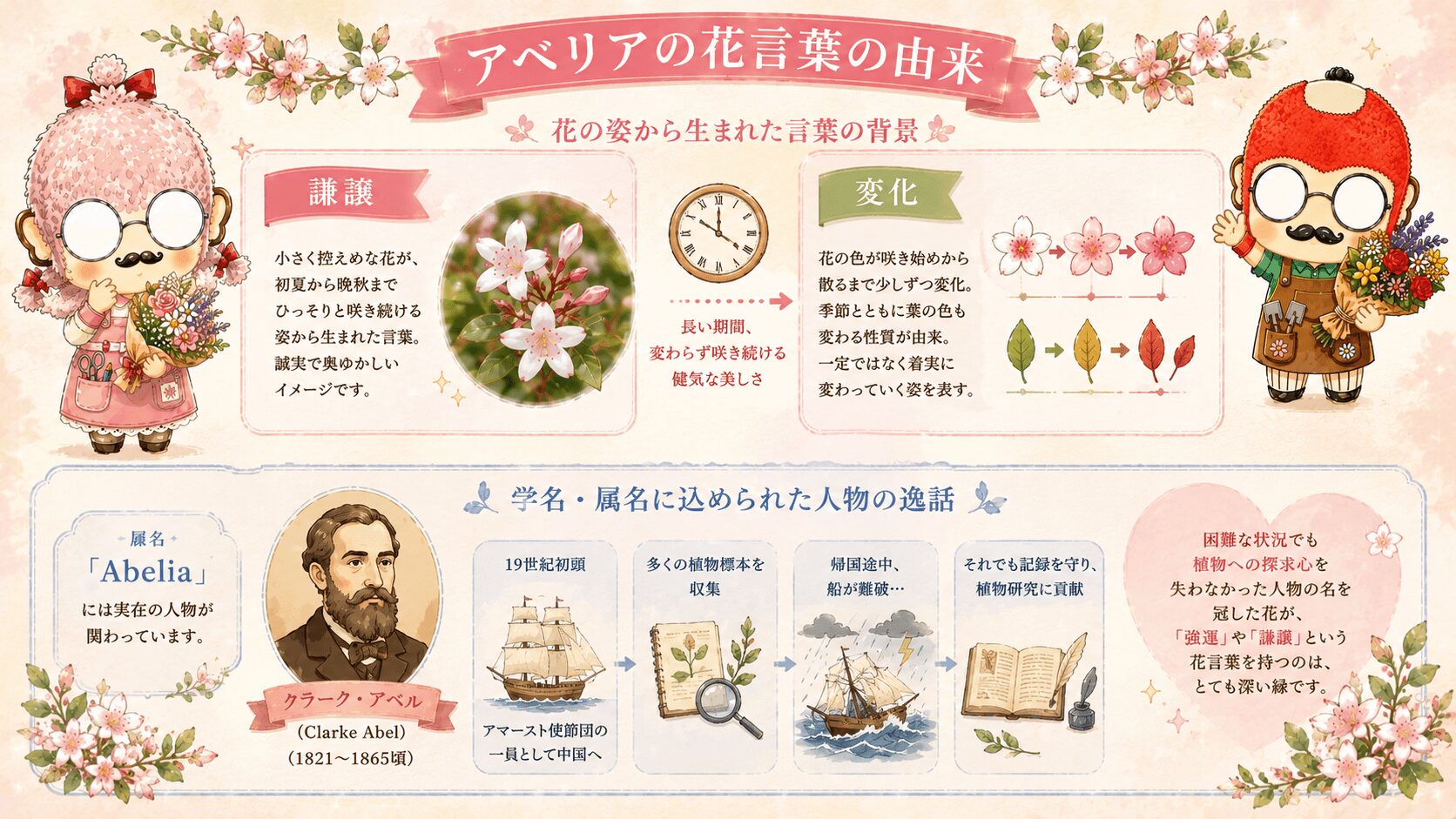 アベリアの花言葉の由来