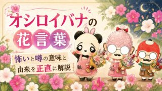 オシロイバナの花言葉｜怖いと噂の意味と由来を正直に解説