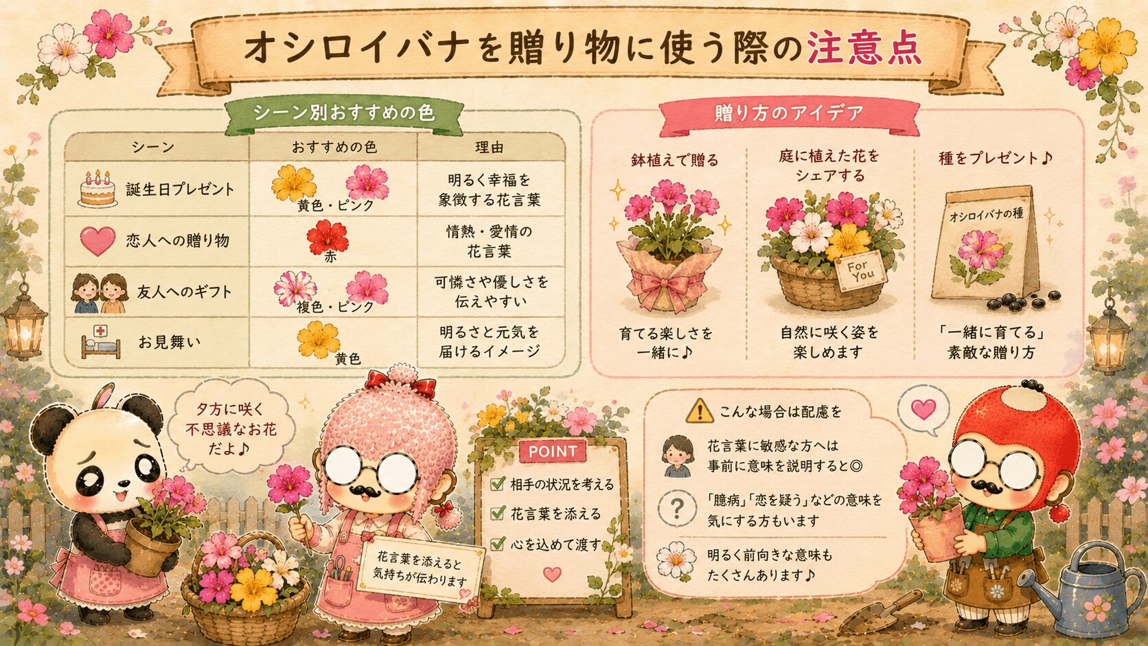 オシロイバナを贈り物に使う