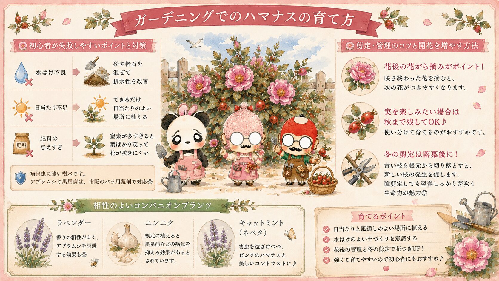 ガーデニングでのハマナスの育て方
