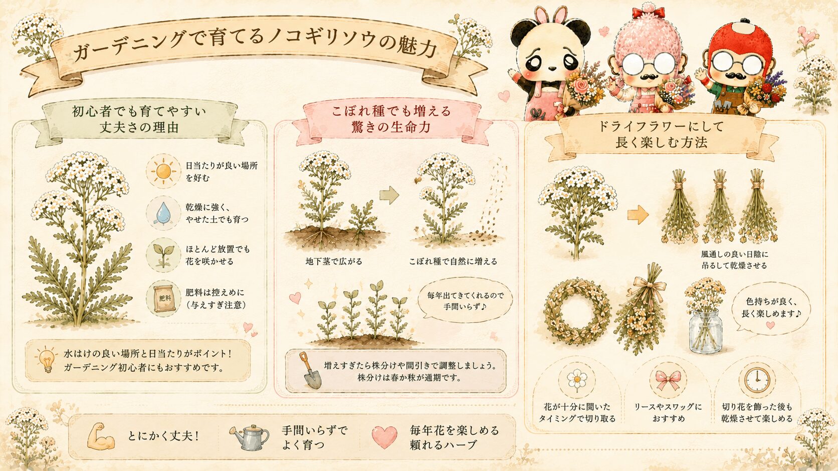 ガーデニングとノコギリソウ