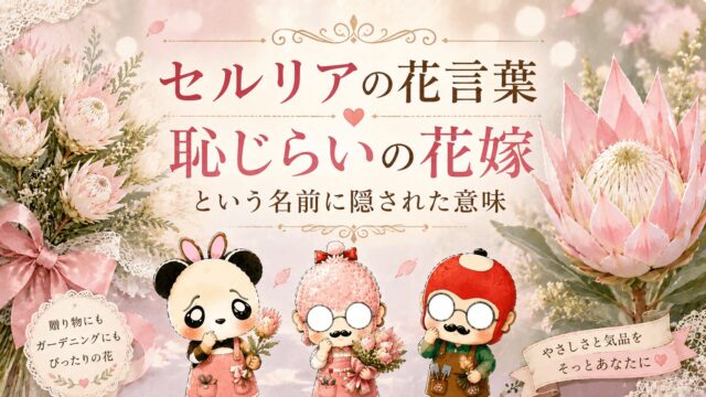 ノコギリソウの花言葉｜ヤロウが古代から愛された本当の理由