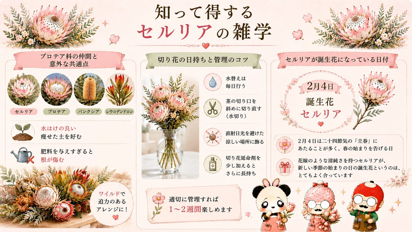 セルリアの雑学