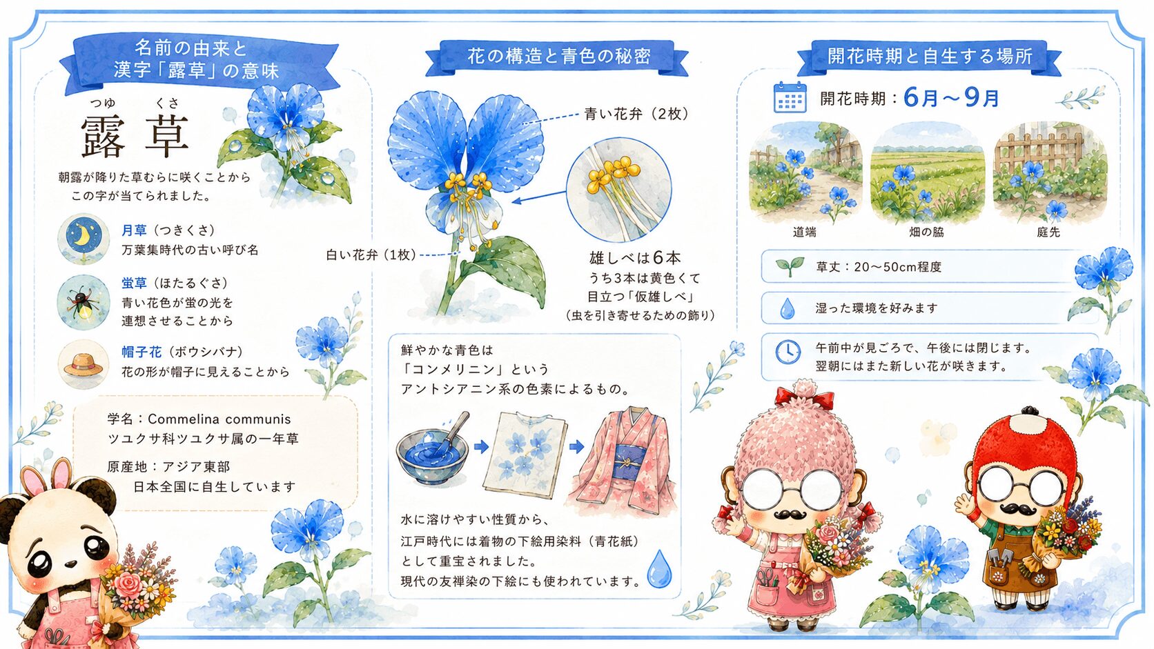 ツユクサの基本情報