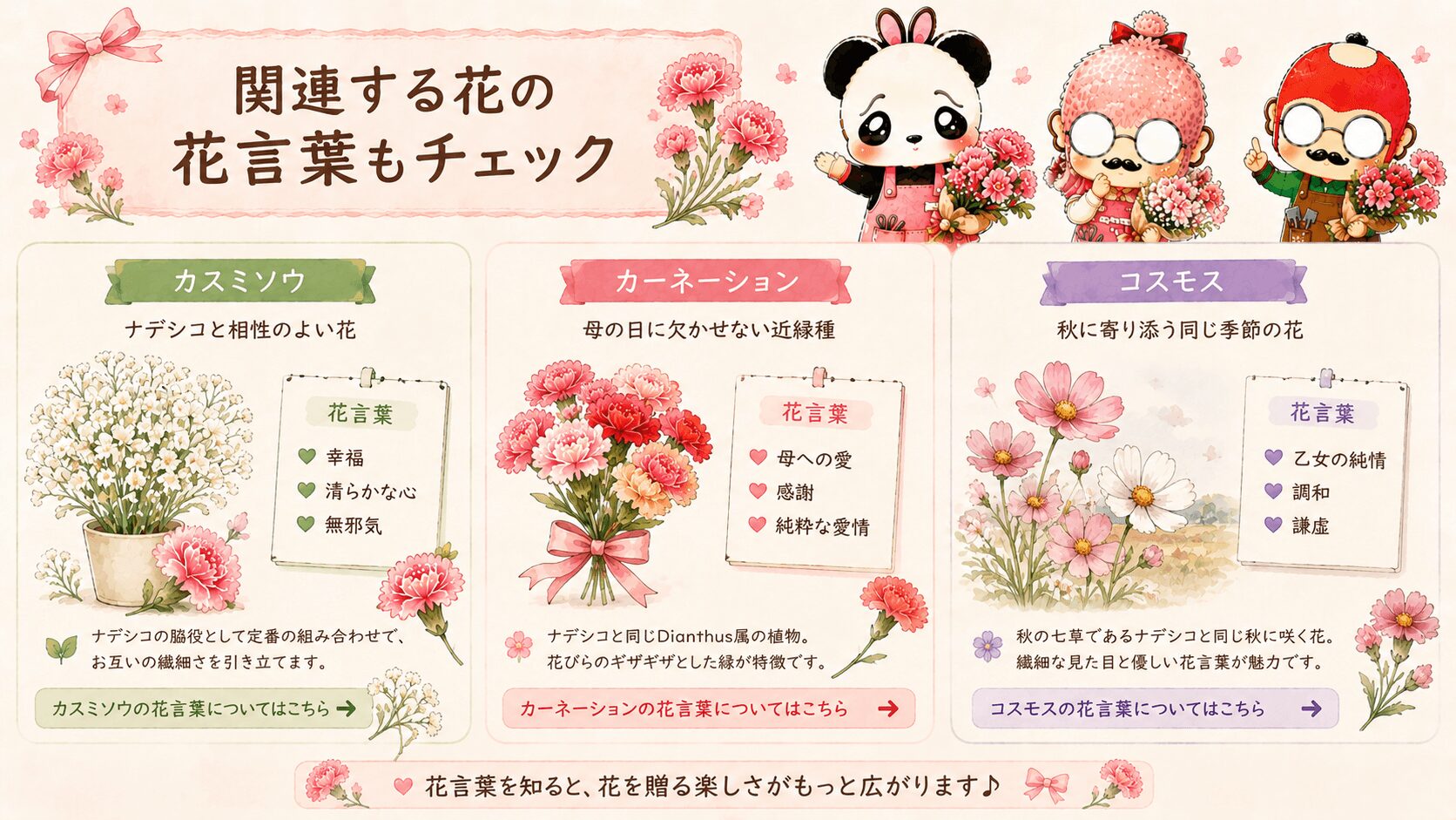 ナデシコに関連する花の花言葉