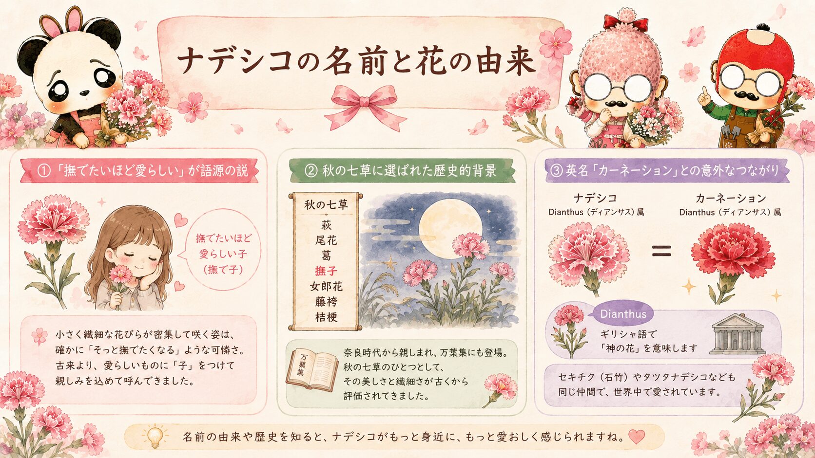 ナデシコの名前と花の由来