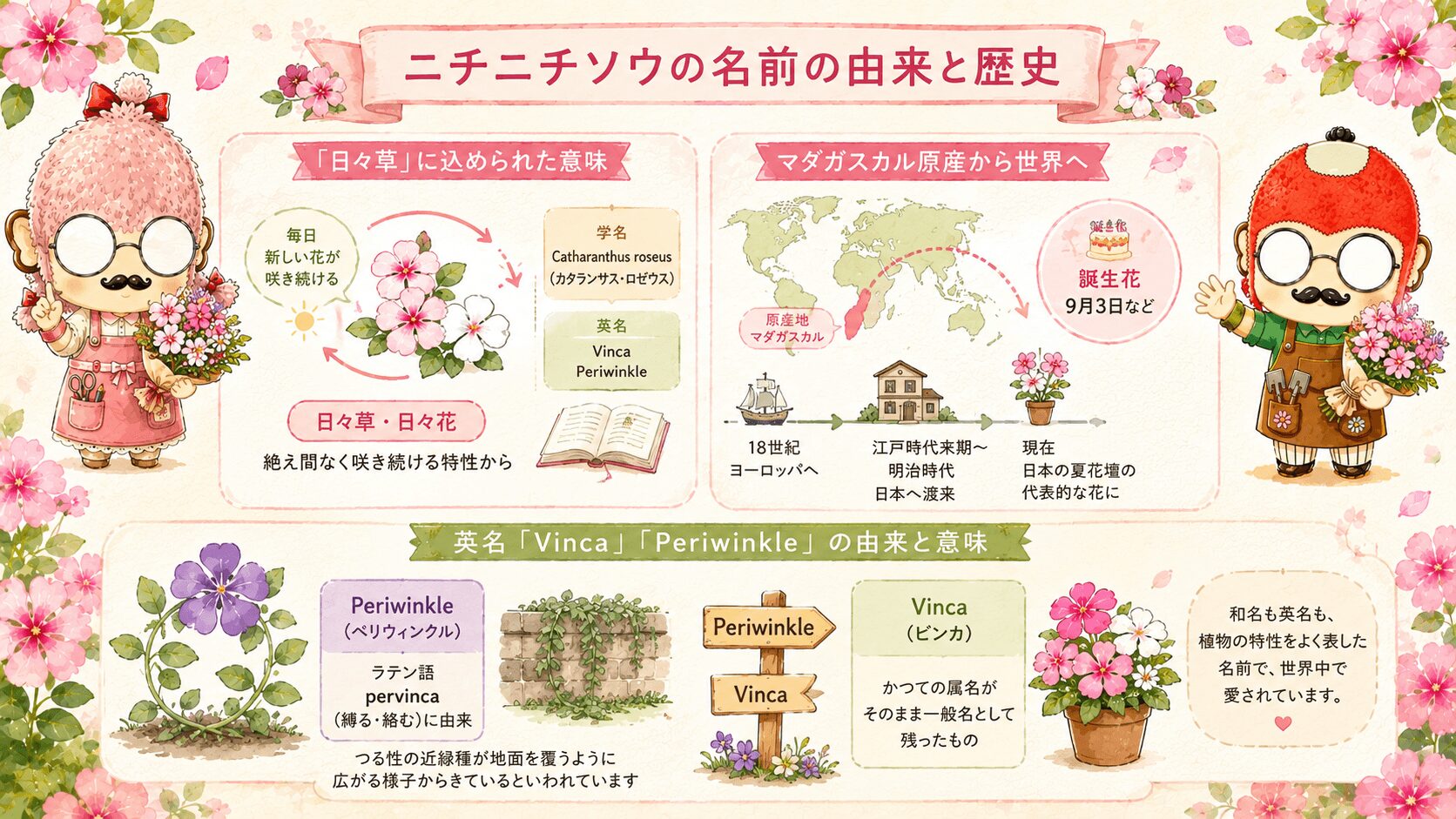 ニチニチソウの名前の由来