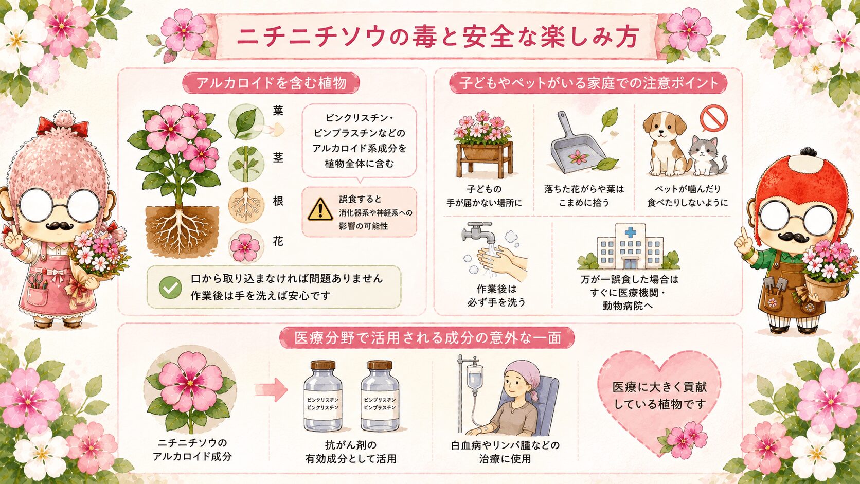 ニチニチソウの安全ガイド