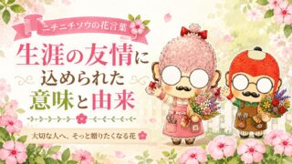 ニチニチソウの花言葉｜生涯の友情に込められた意味と由来
