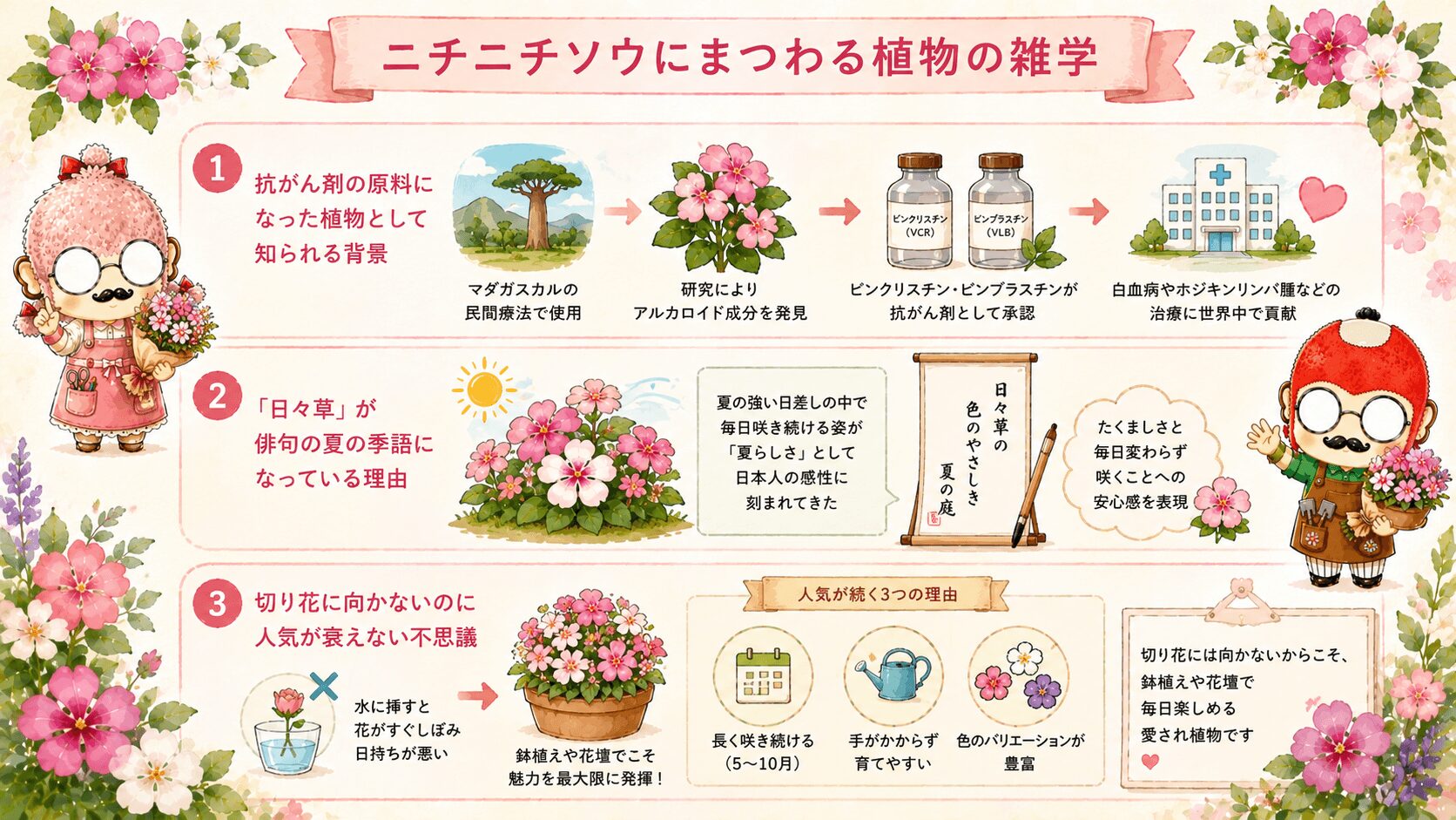 ニチニチソウの雑学