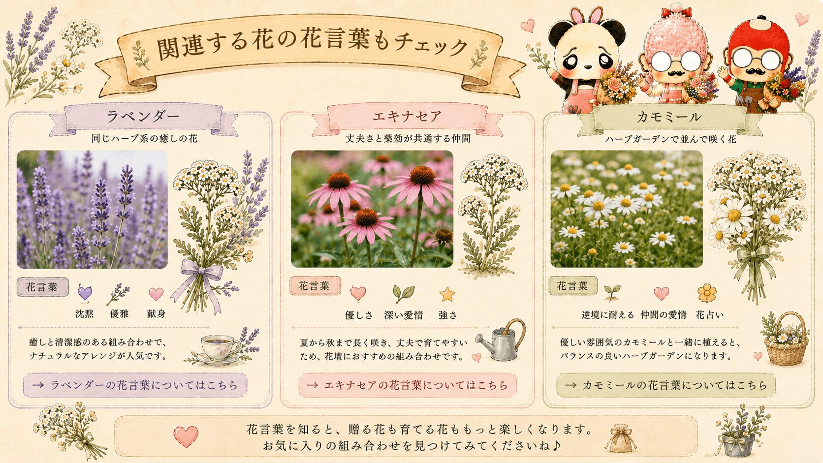 ノコギリソウと関連する花