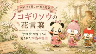 ノコギリソウの花言葉｜ヤロウが古代から愛された本当の理由