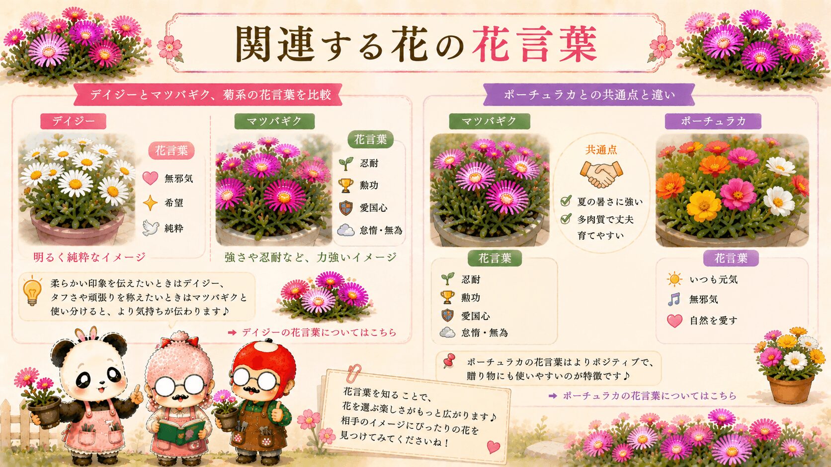 マツバギクに関連する花の花言葉