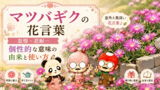 マツバギクの花言葉｜怠惰・忍耐…個性的な意味の由来と使い方