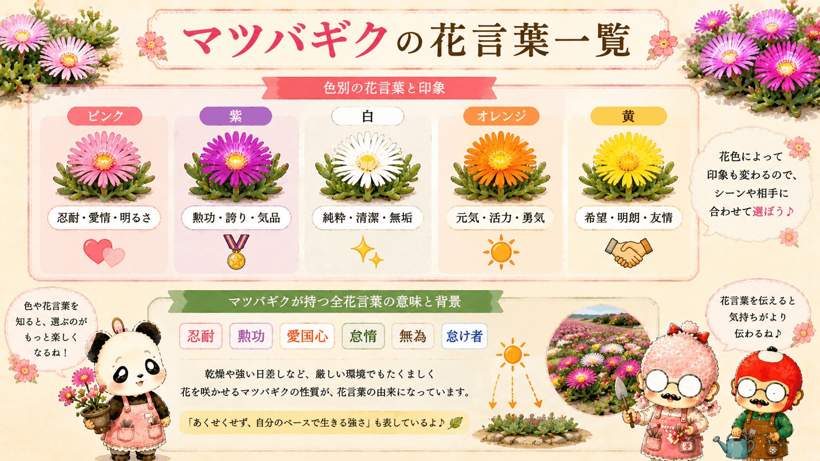 マツバギクの花言葉一覧