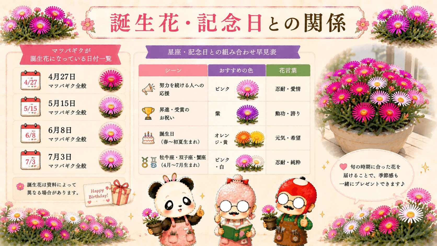マツバギクの誕生花