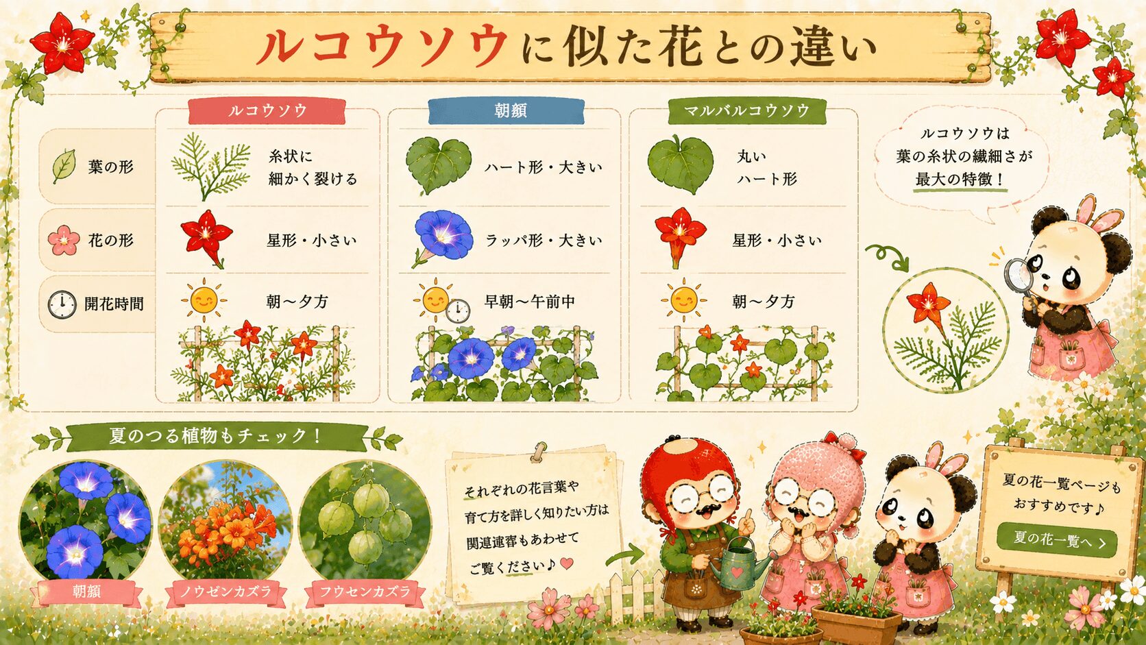 ルコウソウと似た花との違い