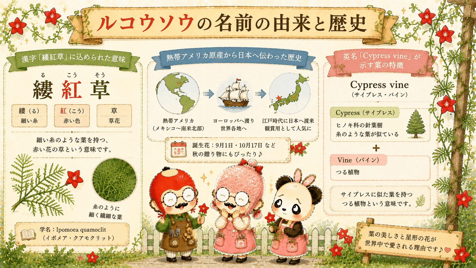 ルコウソウの名前の由来