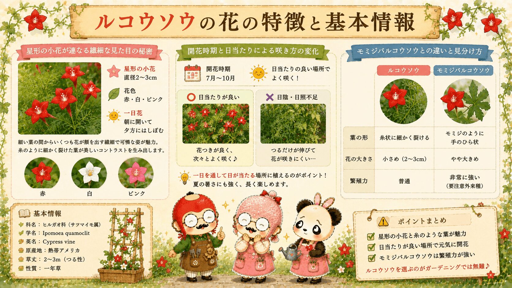 ルコウソウの特徴と育て方