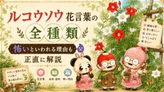 ルコウソウ花言葉の全種類｜怖いといわれる理由も正直に解説