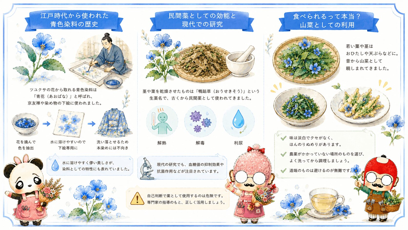 染料や薬草として使えるツユクサ