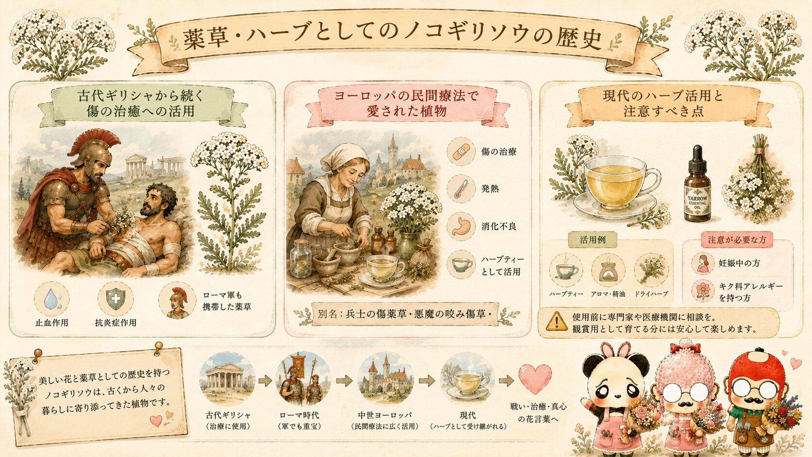 薬草やハーブとしてのノコギリソウの歴史