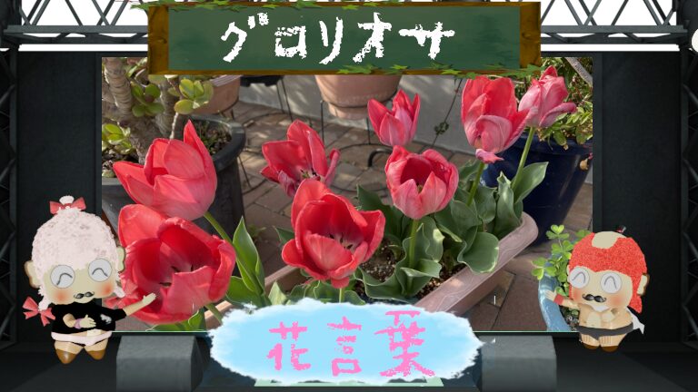 グロリオサの花言葉！色別＆由来＆怖いとされる毒性まで解析！