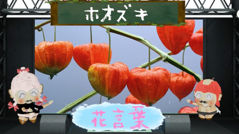 ホオズキの花言葉!色別や怖い由来など裏表がある花言葉を解説