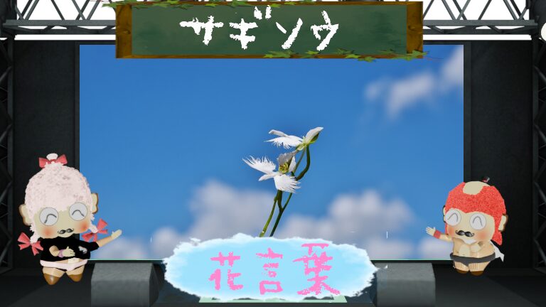 サギソウの花言葉！色別や怖い理由から由来の切ない恋物語まで