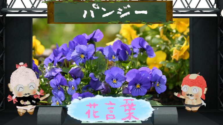 パンジーの花言葉!色別&怖い理由は花びらが顔に見えるから?