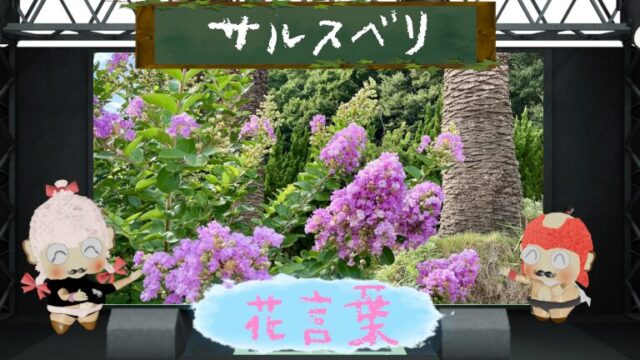スミレの花言葉！色別＆本数別＆怖い理由～ナポレオンが愛した花