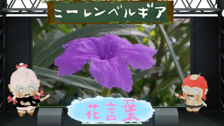 ニーレンベルギアの花言葉!夏に涼を呼ぶ花を徹底解剖