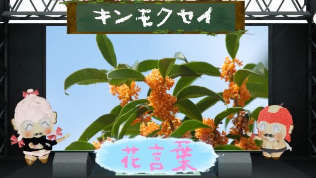 キンモクセイの花言葉！色別＆本数別＆怖い理由や銀木犀との違い