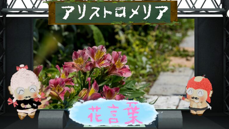 アルストロメリアの花言葉!色別&怖い理由から名前の由来まで!