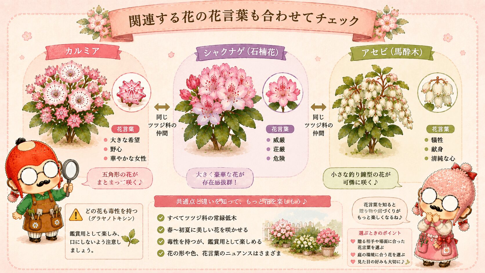 カルミアに関連する花の花言葉