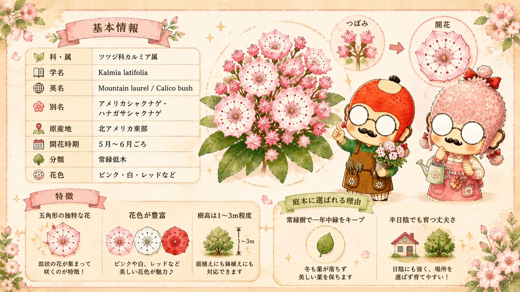 カルミアの基本情報