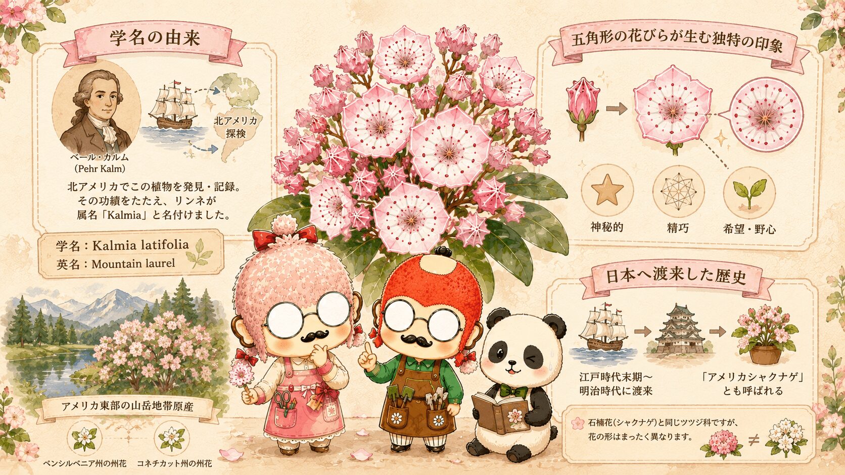 カルミアの花言葉の由来