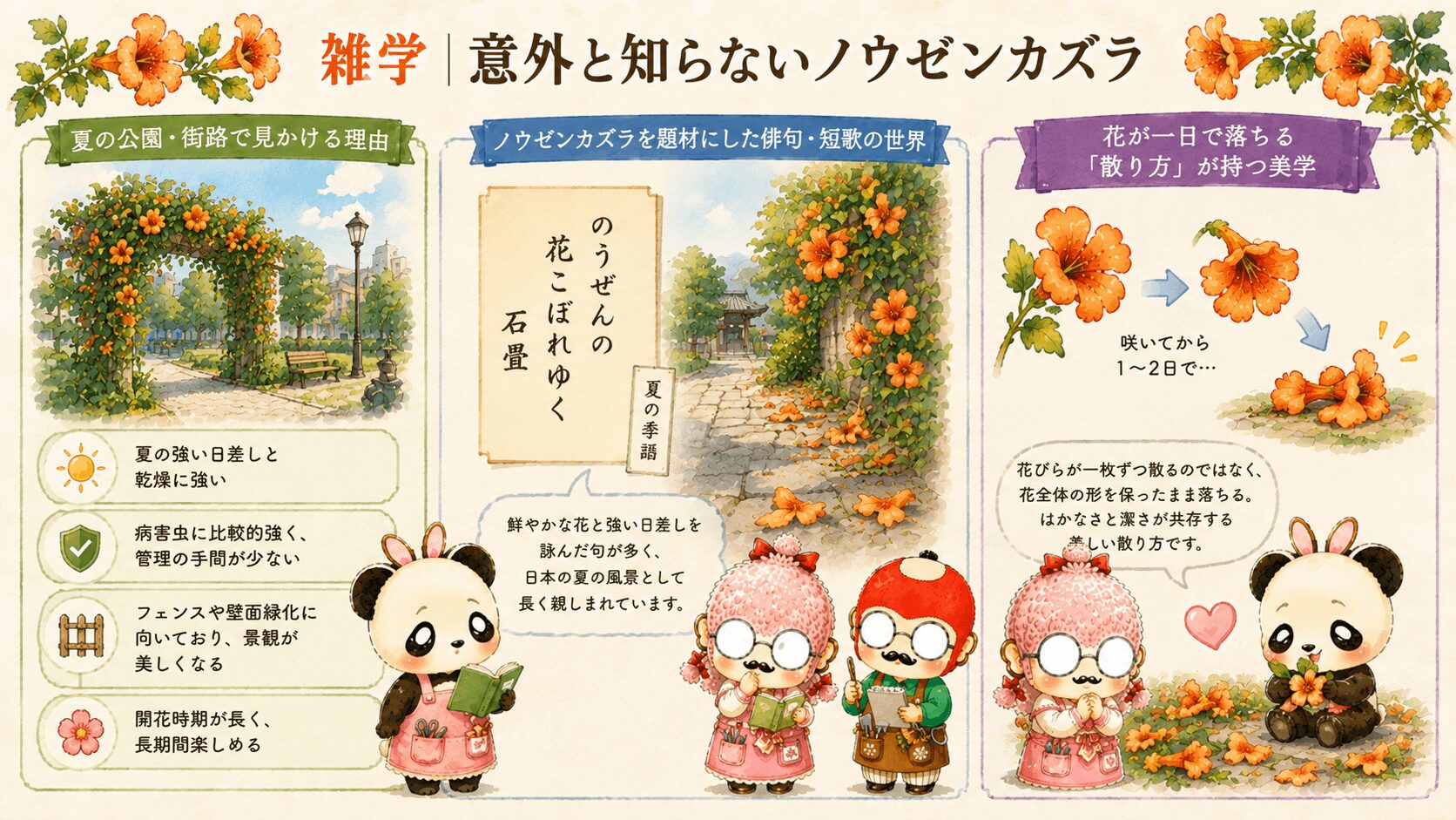 ノウゼンカズラの雑学