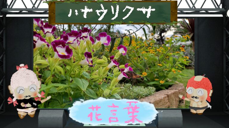 ハナウリクサの花言葉!怖い理由は可憐な欲望が原因?