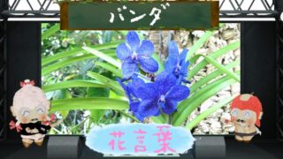眠パンダのポップアップスタンプ！いつもの睡眠不足。。
