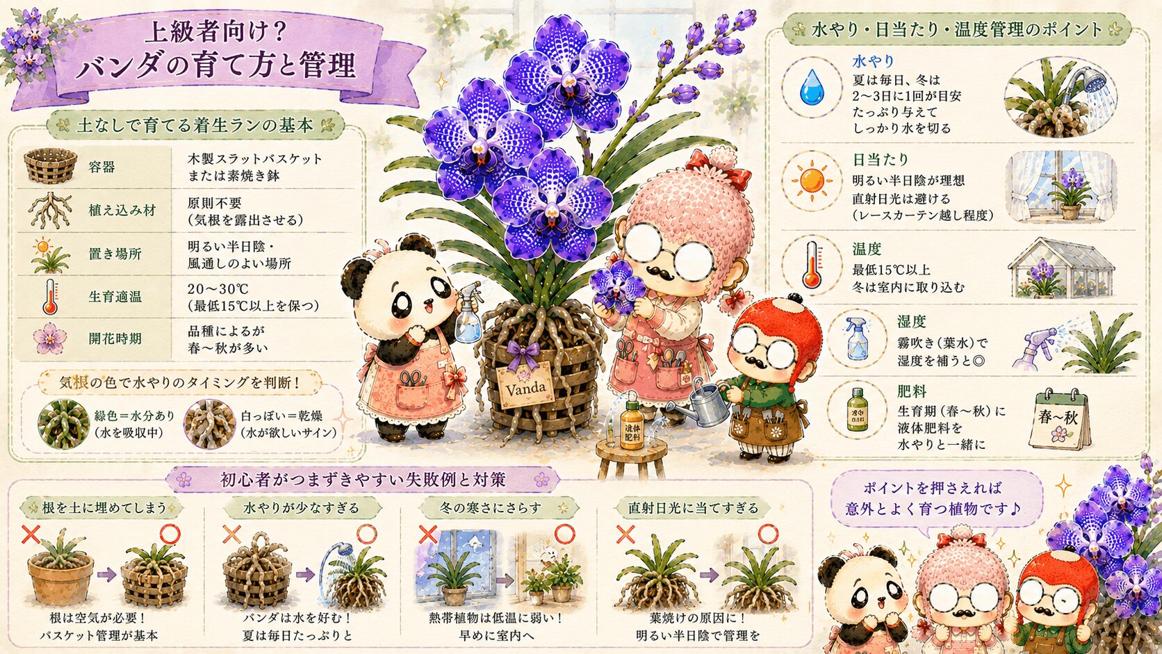 バンダの育て方