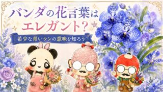 バンダの花言葉はエレガント？希少な青いランの意味を知ろう