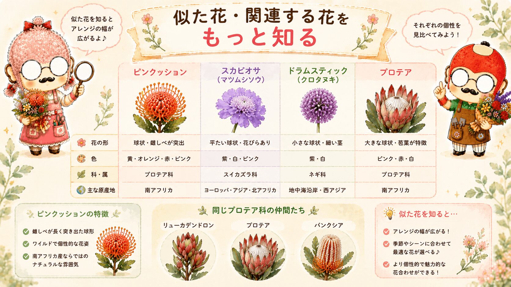 ピンクッションに似た花々