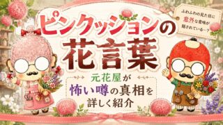ピンクッションの花言葉｜元花屋が怖い噂の真相を詳しく紹介