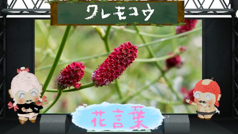 ワレモコウの花言葉!怖い理由や名前の由来などを徹底解説