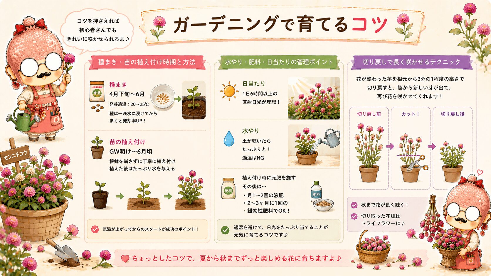 千日紅を育てるコツ