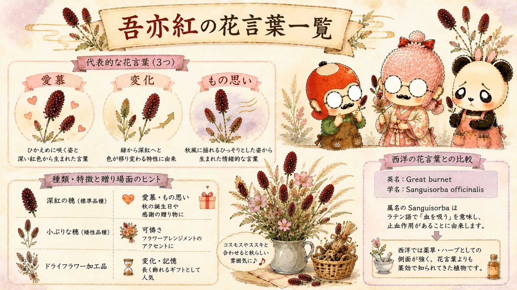 吾亦紅の花言葉一覧
