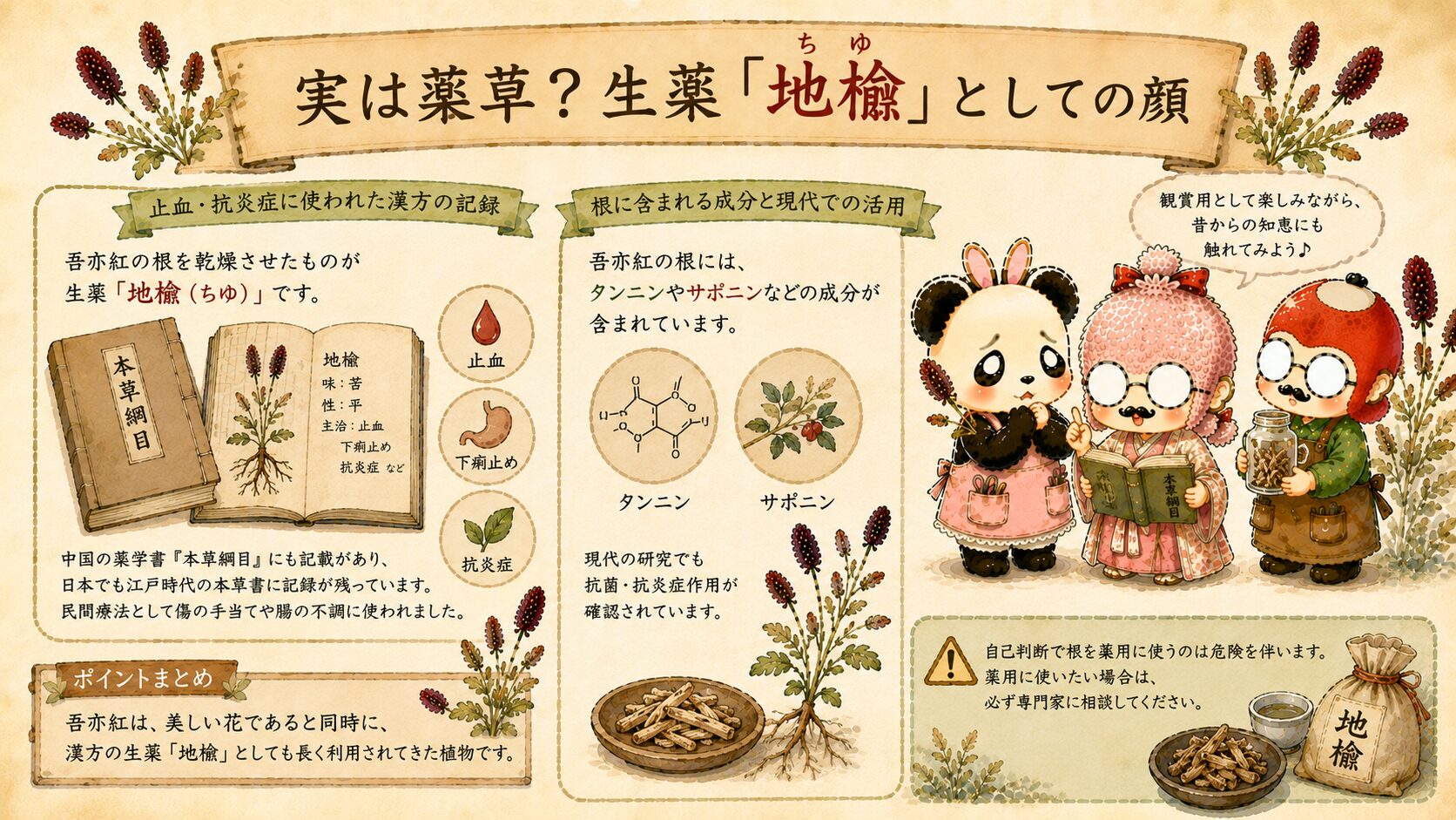 吾亦紅は実は薬草？