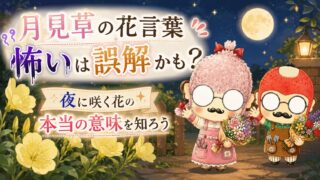 月見草の花言葉怖いは誤解かも？夜に咲く花の本当の意味を知ろう