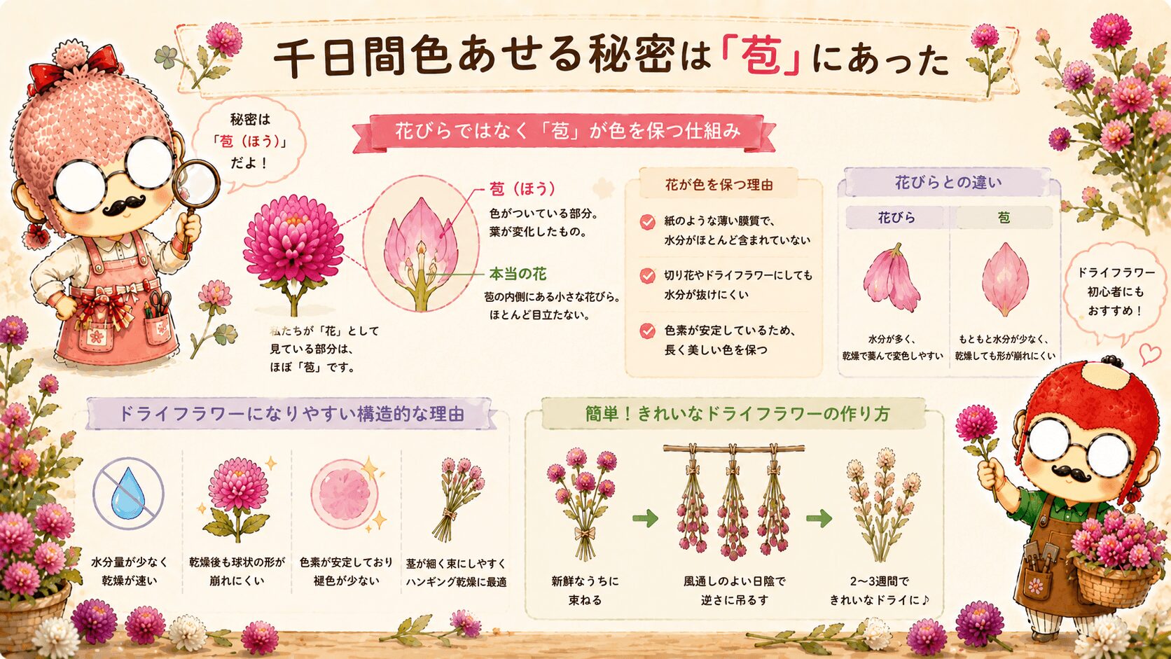 苞と千日紅